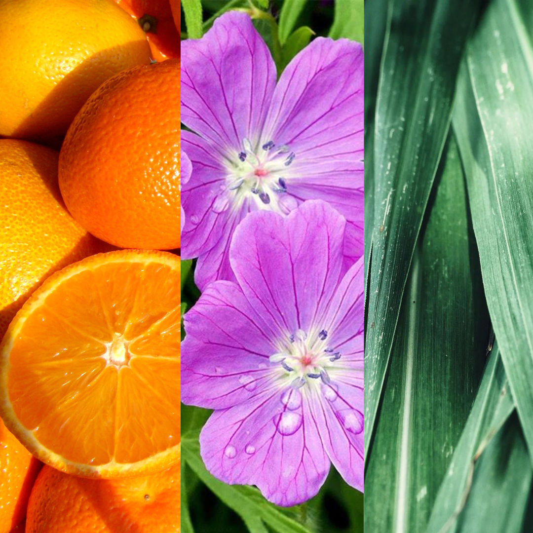 1. Love of Seine River 情定塞納河畔