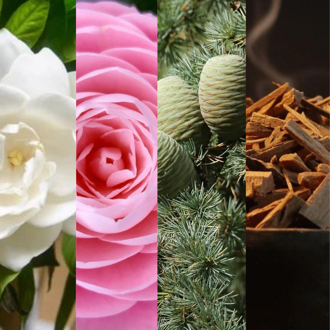 19. Shakespeare’s Bookstore 莎士比亞的書店