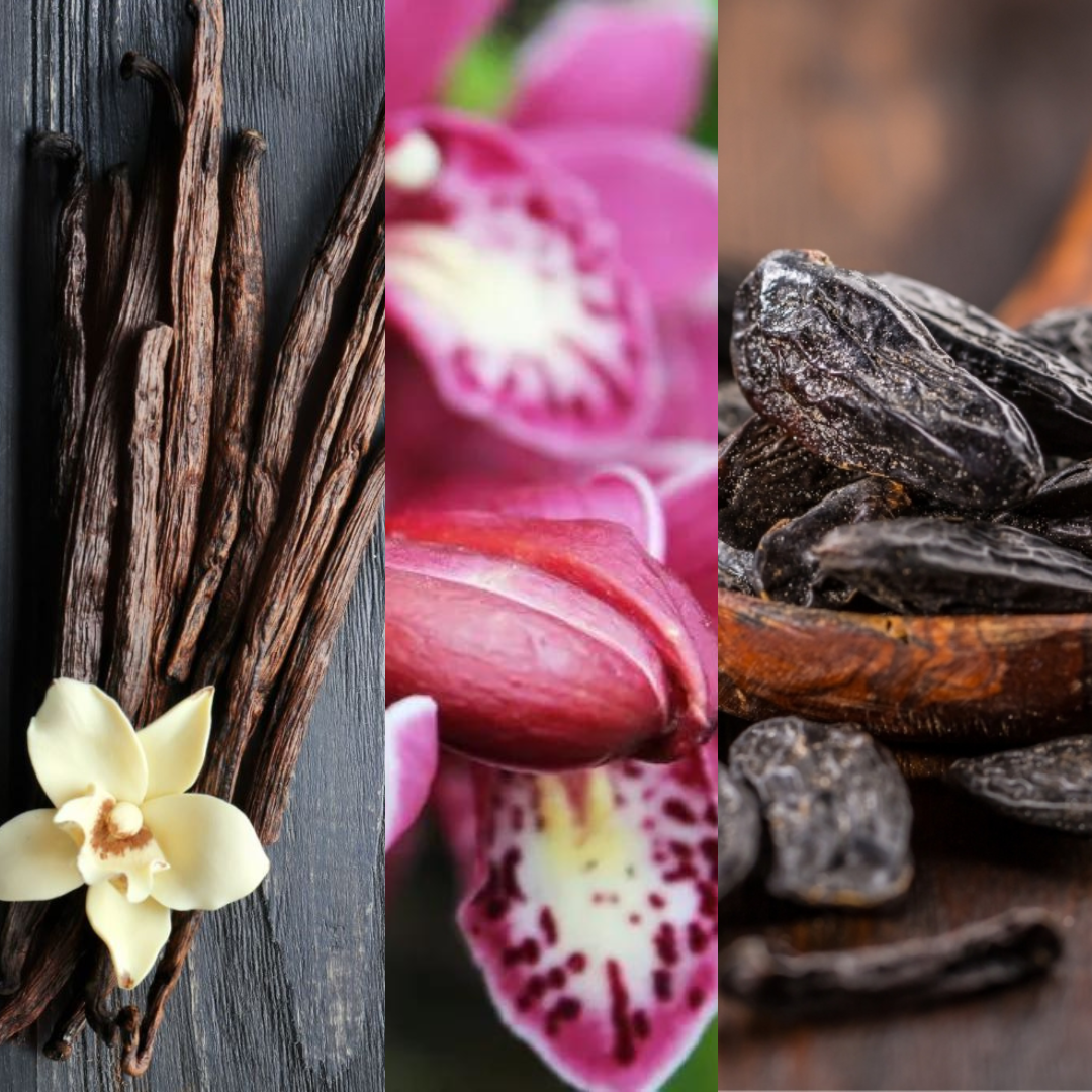 8. Black Ribbon 黑緞帶