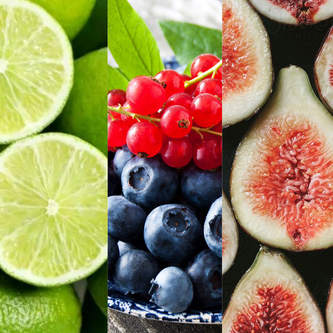 11. Figuier des îles 島嶼的無花果樹-