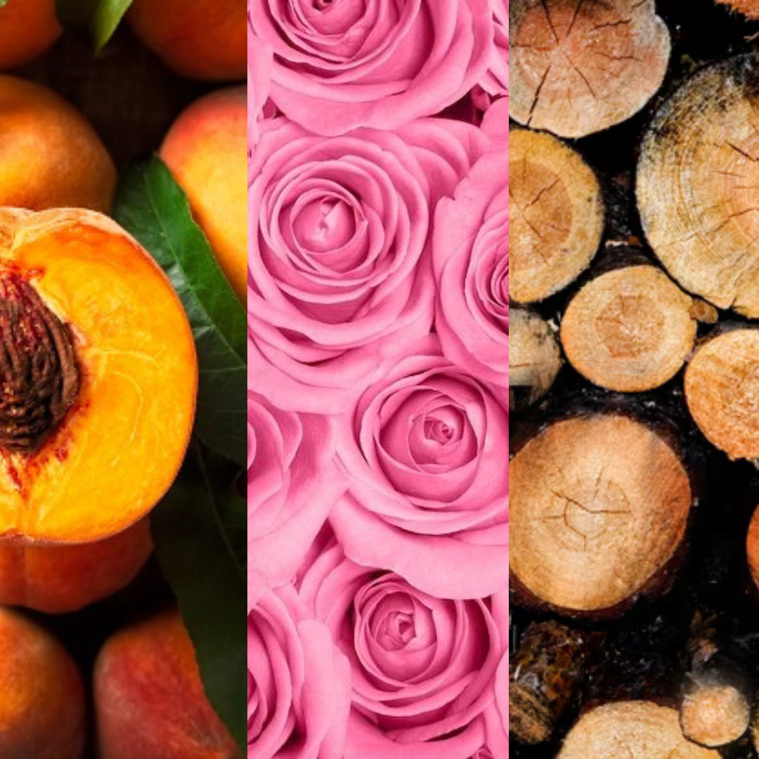 3. Roseraie après la pluie 雨後的玫瑰莊園