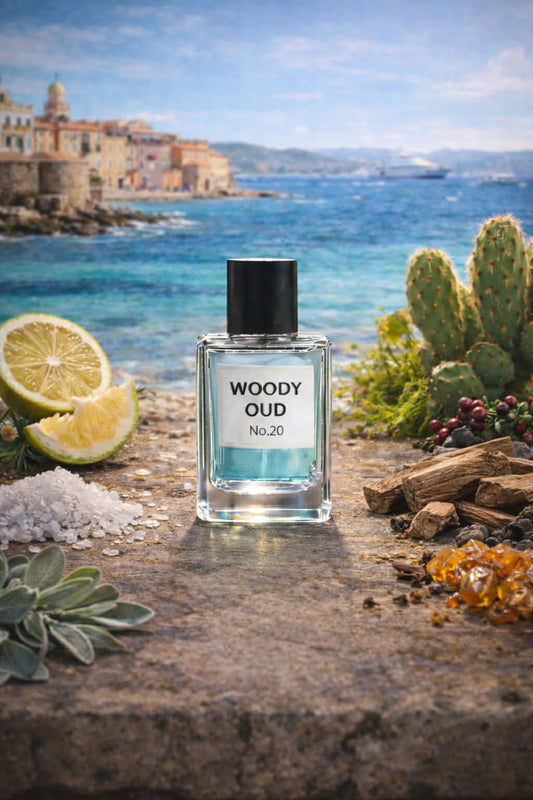20. L’été à Saint- Tropez 夏天的聖托佩海岸